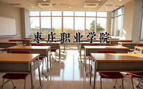 2024年枣庄职业学院录取分数线，河北最低338分