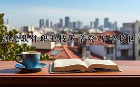 2024年河北软件职业技术学院(阜平校区)录取分数线，河北最低367分