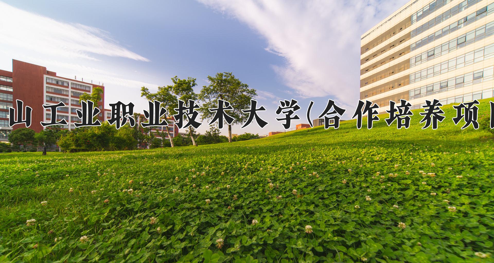 唐山工业职业技术大学(合作培养项目)