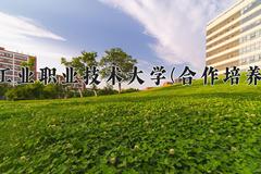 2024年唐山工业职业技术大学(合作培养项目)录取分数线，河北最低488分
