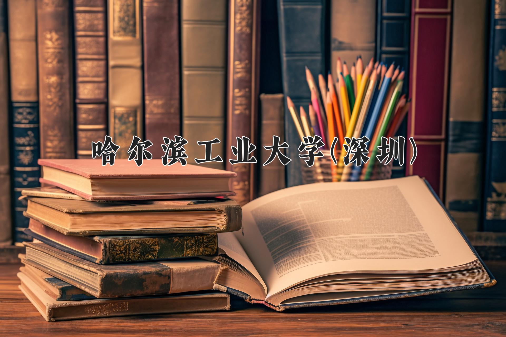 哈尔滨工业大学(深圳)