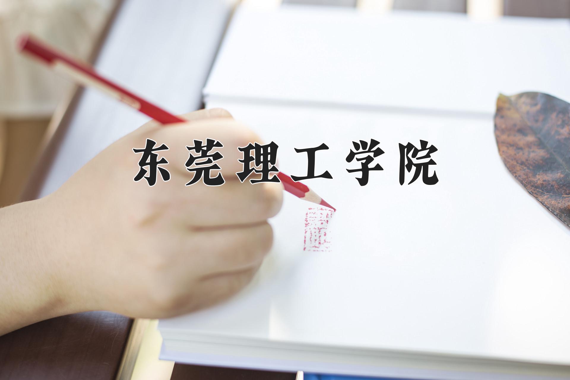 东莞理工学院