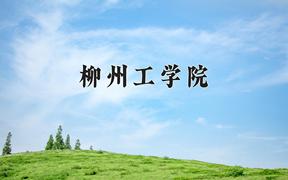 2024年柳州工学院录取分数线，河北最低448分