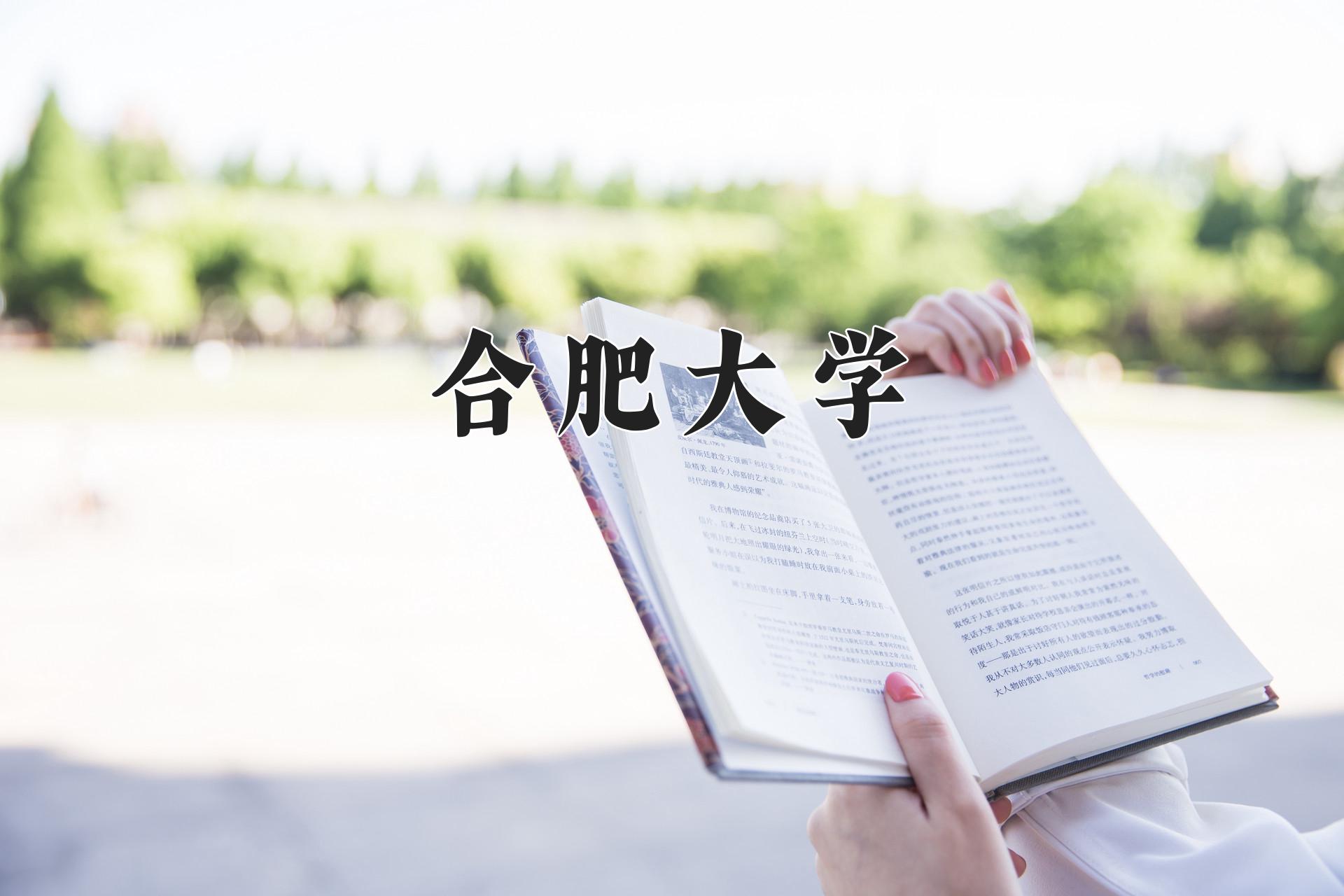 合肥大学