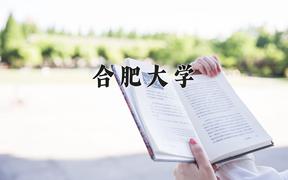 2024年合肥大学录取分数线，河北最低510分