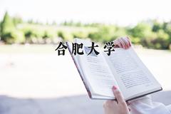 2024年合肥大学录取分数线，河北最低510分
