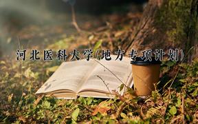 2024年河北医科大学(地方专项计划)录取分数线，河北最低523分