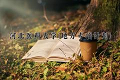 2024年河北医科大学(地方专项计划)录取分数线，河北最低523分