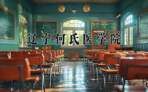 2024年辽宁何氏医学院录取分数线，河北最低449分