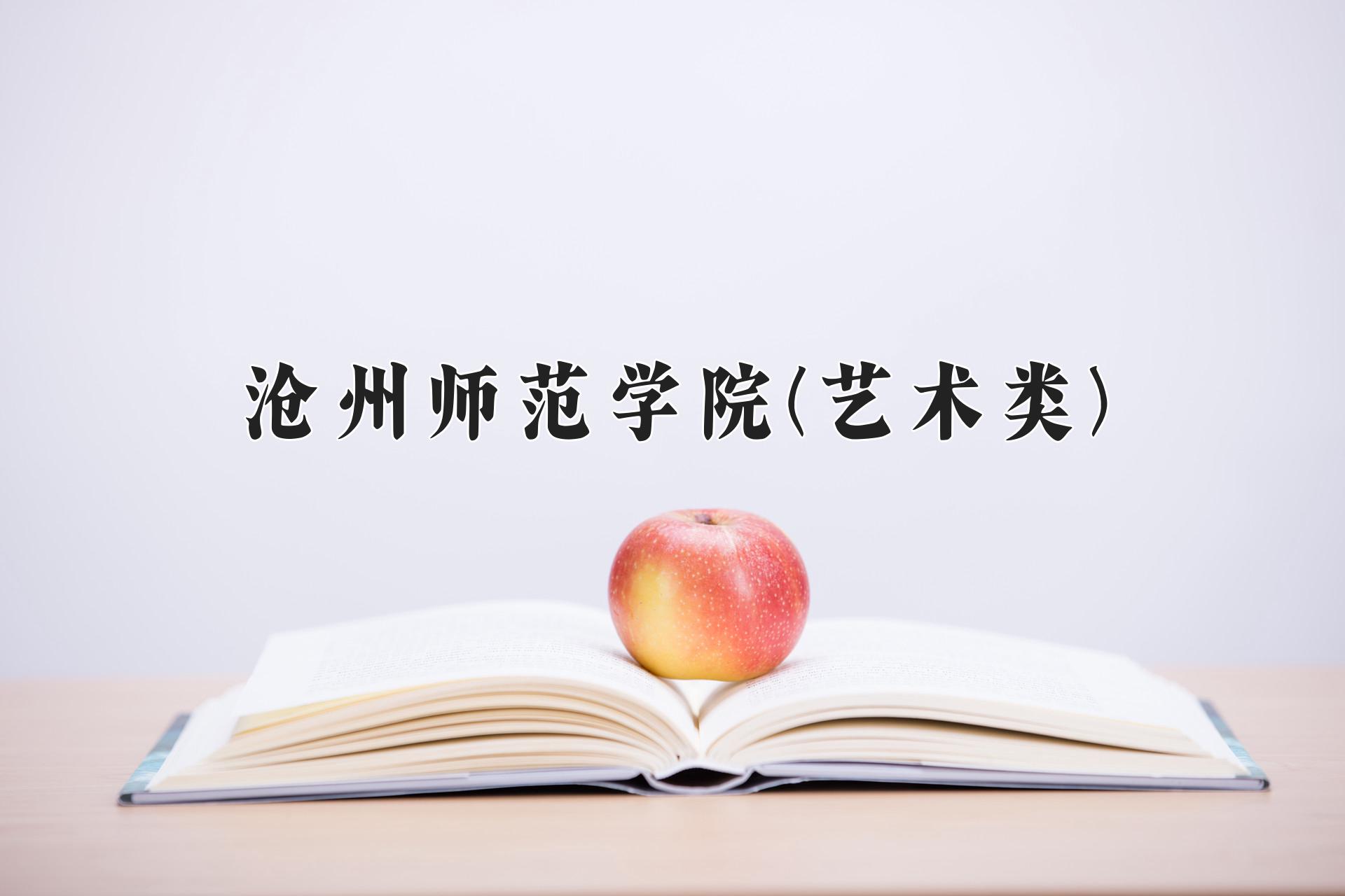 沧州师范学院(艺术类)