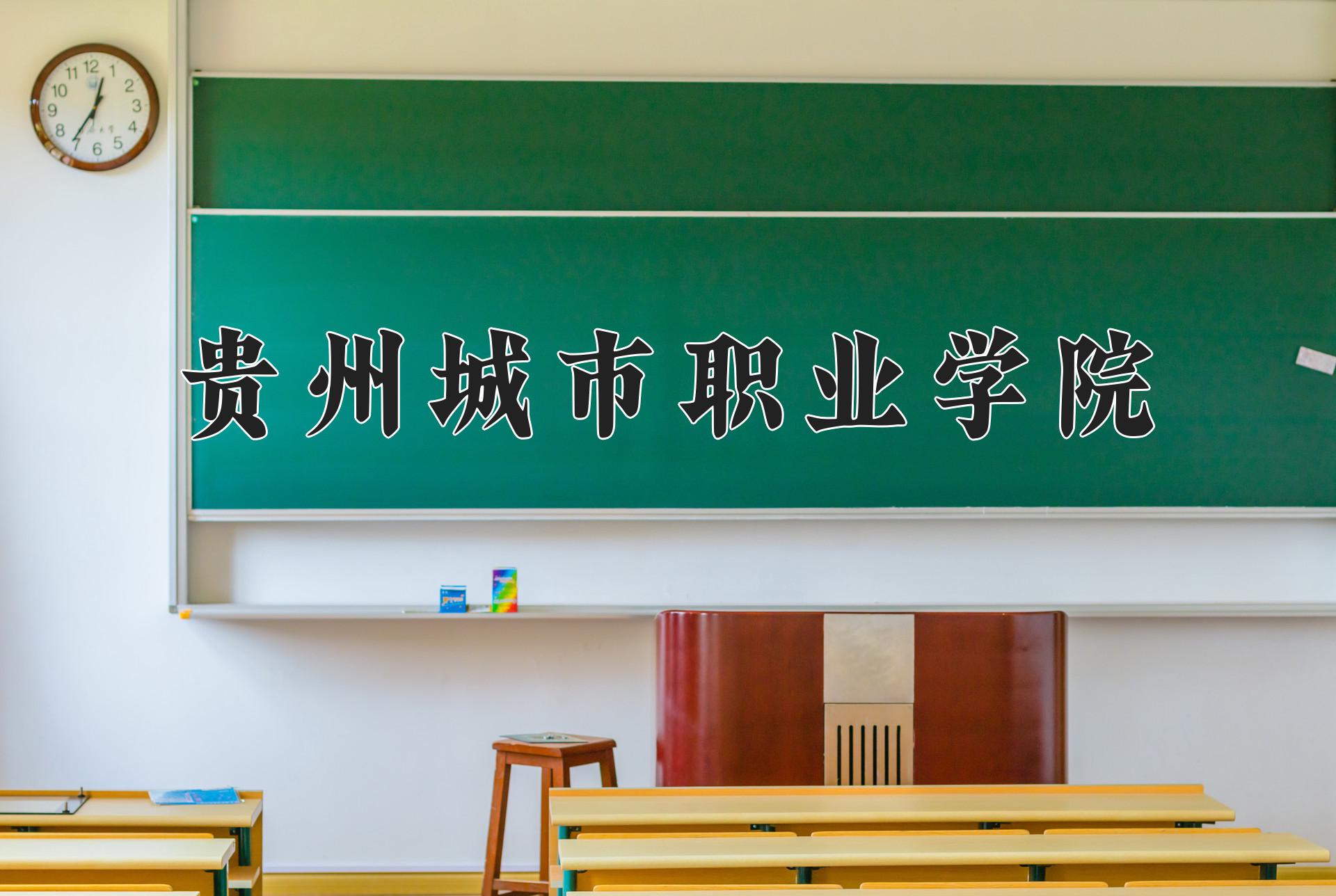 贵州城市职业学院