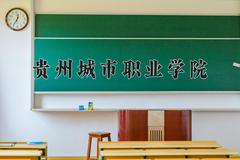 2024年贵州城市职业学院录取分数线，河北最低254分