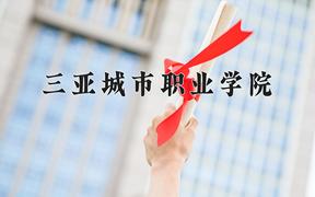 2024年三亚城市职业学院录取分数线，河北最低242分