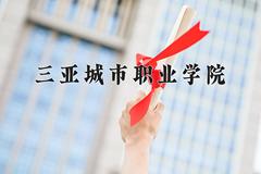 2024年三亚城市职业学院录取分数线，河北最低242分