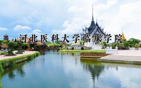 2024年河北医科大学临床学院录取分数线，河北最低491分
