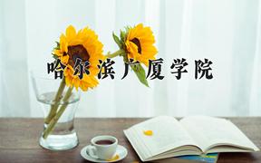 2024年哈尔滨广厦学院录取分数线，河北最低453分