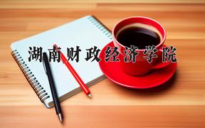 2024年湖南财政经济学院录取分数线，河北最低508分