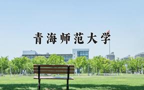 2024年青海师范大学录取分数线，河北最低510分