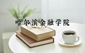 2024年哈尔滨金融学院录取分数线，河北最低515分