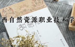 2024年广西自然资源职业技术学院录取分数线，河北最低333分