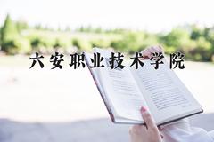 2024年六安职业技术学院录取分数线，河北最低333分
