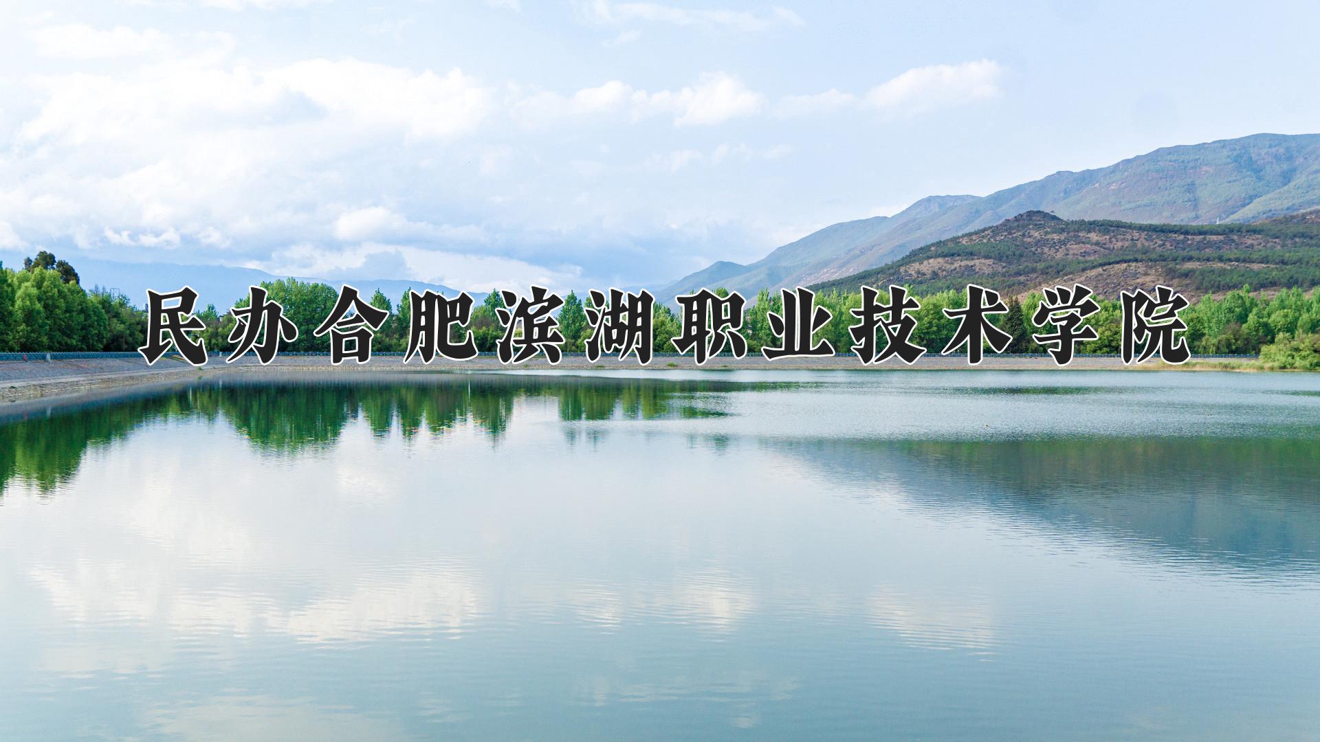 民办合肥滨湖职业技术学院