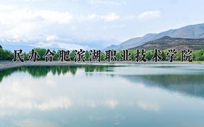 2024年民办合肥滨湖职业技术学院录取分数线，河北最低293分