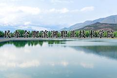 2024年民办合肥滨湖职业技术学院录取分数线，河北最低293分