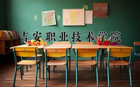 2024年吉安职业技术学院录取分数线，河北最低396分