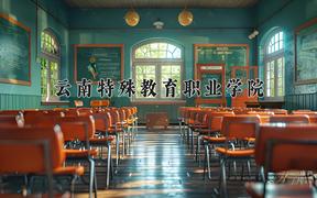 2024年云南特殊教育职业学院录取分数线，河北最低282分