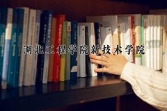 2024年湖北工程学院新技术学院录取分数线，河北最低327分