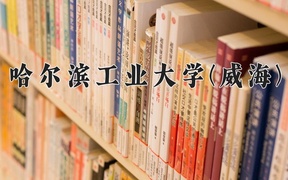 2024年哈尔滨工业大学(威海)录取分数线，河北最低624分