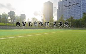 2024年西安工商学院(艺术类)录取分数线，河北最低449分