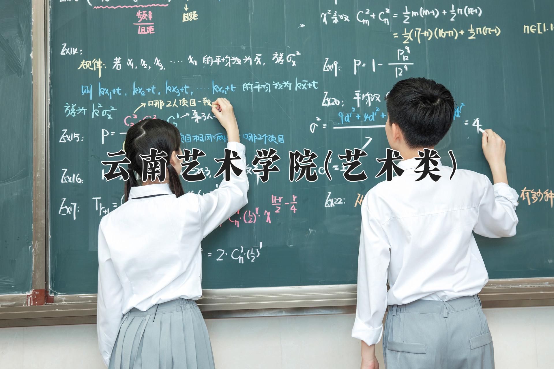 云南艺术学院(艺术类)