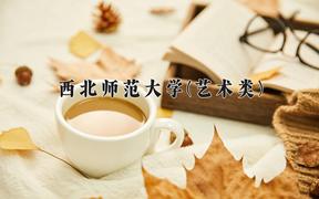2024年西北师范大学(艺术类)录取分数线，河北最低502分