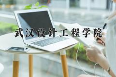 2024年武汉设计工程学院录取分数线，河北最低371分