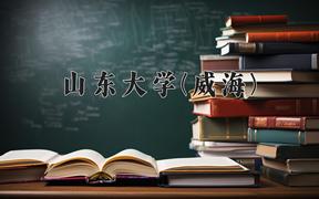 2024年山东大学(威海)录取分数线，河北最低611分