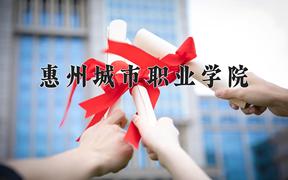 2024年惠州城市职业学院录取分数线，河北最低319分