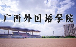 2024年广西外国语学院录取分数线，河北最低451分