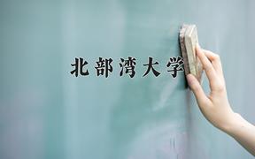 2024年北部湾大学录取分数线，河北最低480分