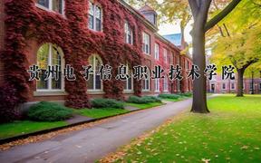 2024年贵州电子信息职业技术学院录取分数线，河北最低406分
