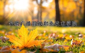 2024年安徽广播影视职业技术学院录取分数线，河北最低399分