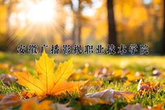 2024年安徽广播影视职业技术学院录取分数线，河北最低399分