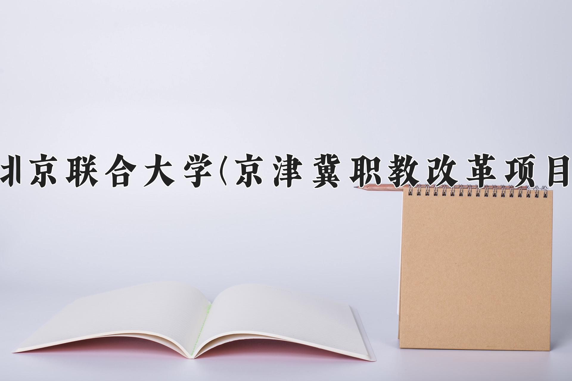 北京联合大学(京津冀职教改革项目)