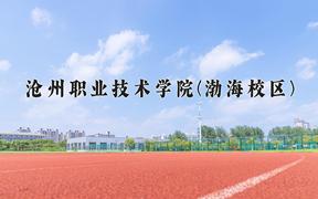 2024年沧州职业技术学院(渤海校区)录取分数线，河北最低372分