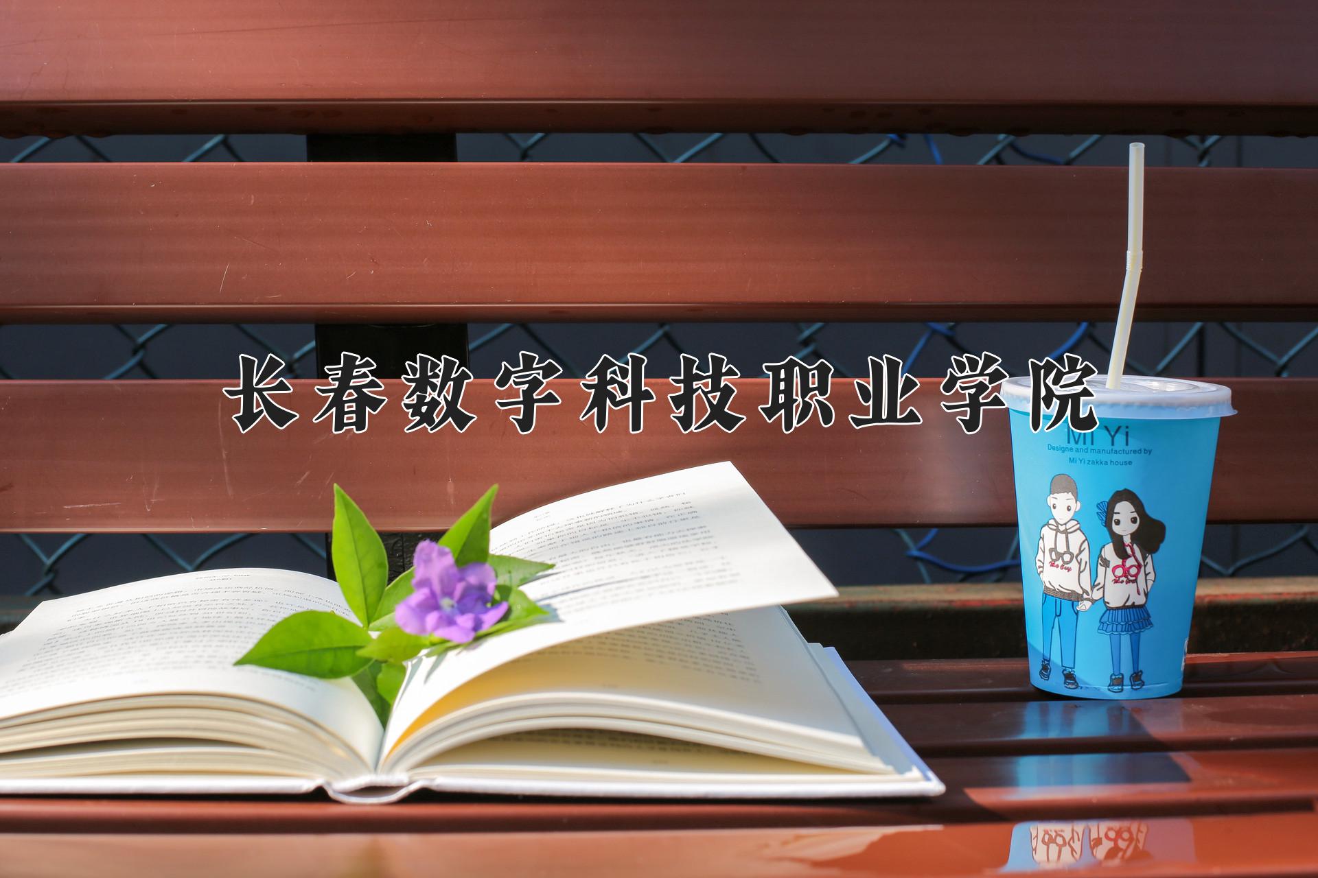 长春数字科技职业学院