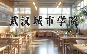 2024年武汉城市学院录取分数线，河北最低471分
