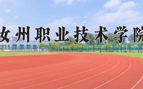 2024年汝州职业技术学院录取分数线，河北最低346分