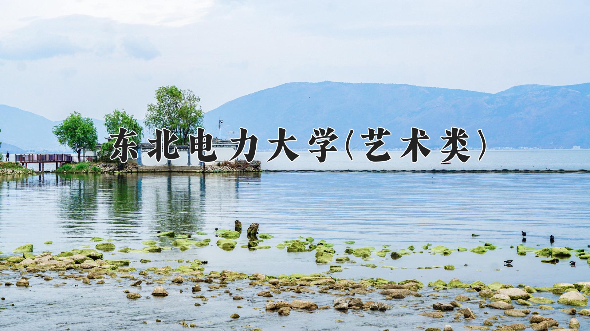 东北电力大学(艺术类)