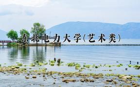 2024年东北电力大学(艺术类)录取分数线，河北最低516分